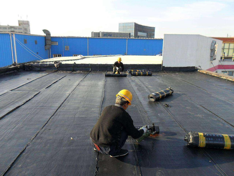 公司防水工程施工中